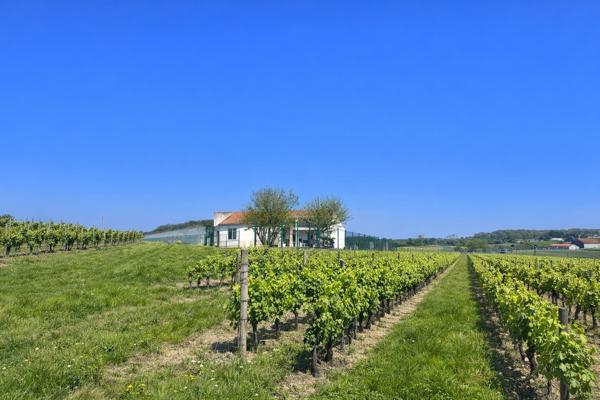 Maison à vendre à Châteauneuf-sur-Charente (16120) - Charente