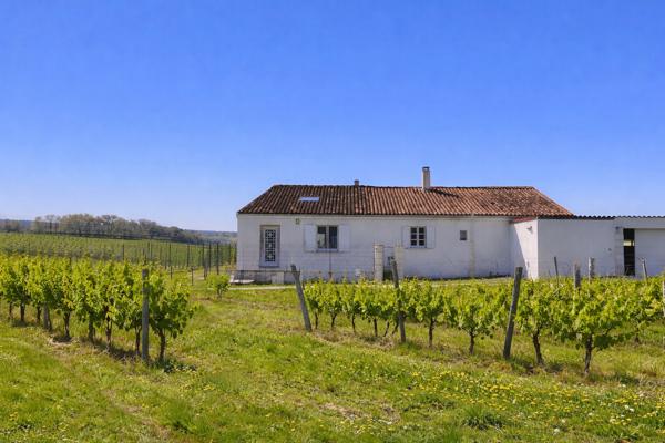 Maison à vendre à Châteauneuf-sur-Charente (16120) - Charente