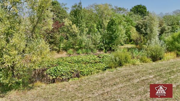 Villa d'exception avec piscine, jacuzzi, double garage et petit étang. Villeneuve-sur-Lot (47300)