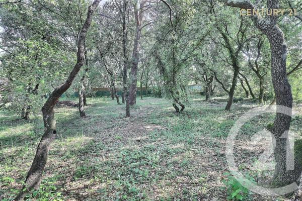 Terrain à vendre  900 m2 ST DIDIER - 84