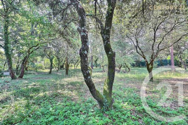 Terrain à vendre  900 m2 ST DIDIER - 84