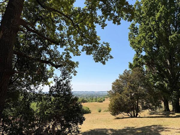 Élégant manoir avec maison d'amis, 11 hectares et vue panoramique
