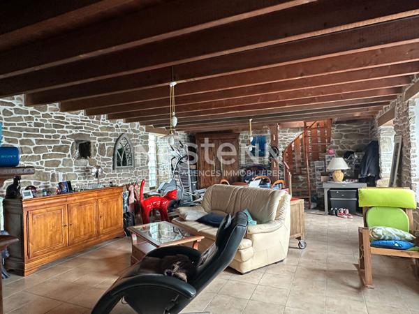 Questembert, au calme d'un hameau, ensemble de 2 maisons en pierres