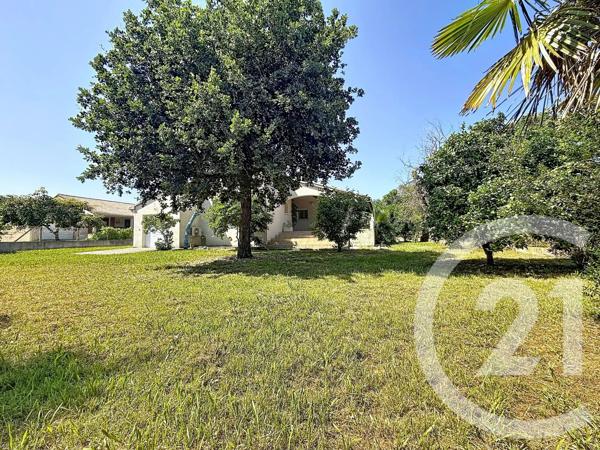 Maison à vendre  4 pièces - 155 m 2   SANTA LUCIA DI MORIANI  - 202