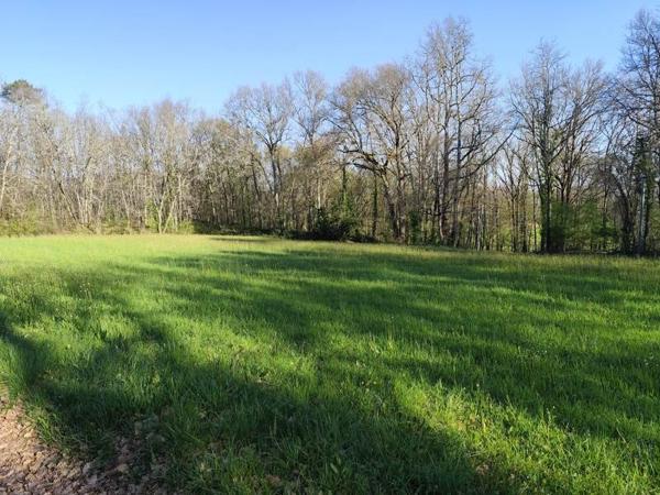 Terrain à vendre |  Savignac-de-Duras |  2870 m²