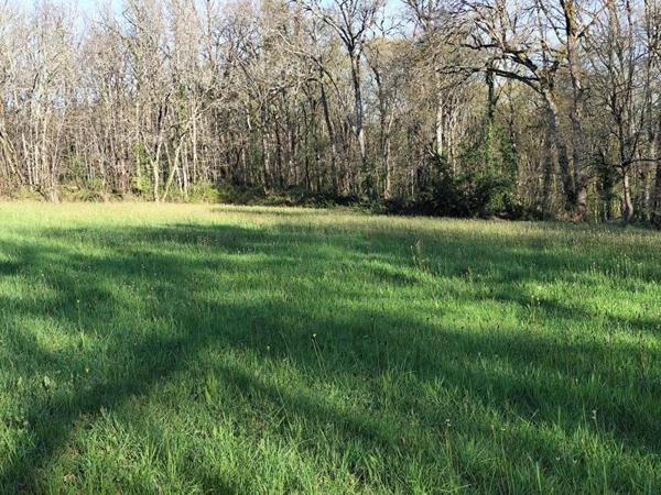 Terrain à vendre |  Savignac-de-Duras |  2870 m²