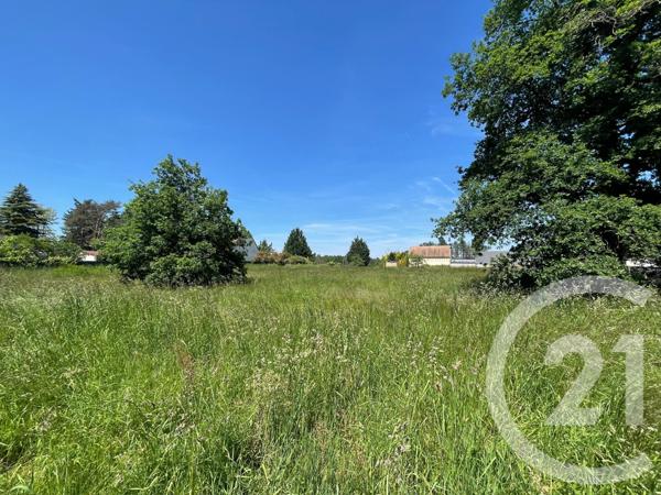Terrain à vendre  3951 m2 VILLEFRANCHE SUR CHER - 41