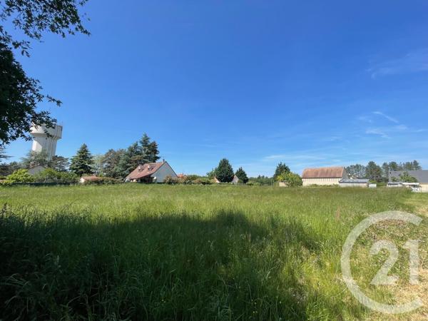 Terrain à vendre  3951 m2 VILLEFRANCHE SUR CHER - 41