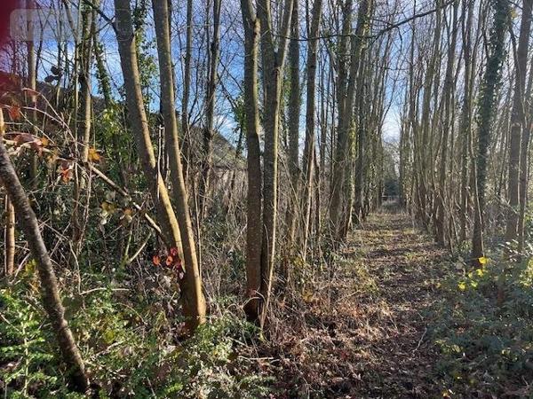 Terrain à Batir à vendre à Caulnes dans les Côtes-d'Armor (22350), ref : 121/1006