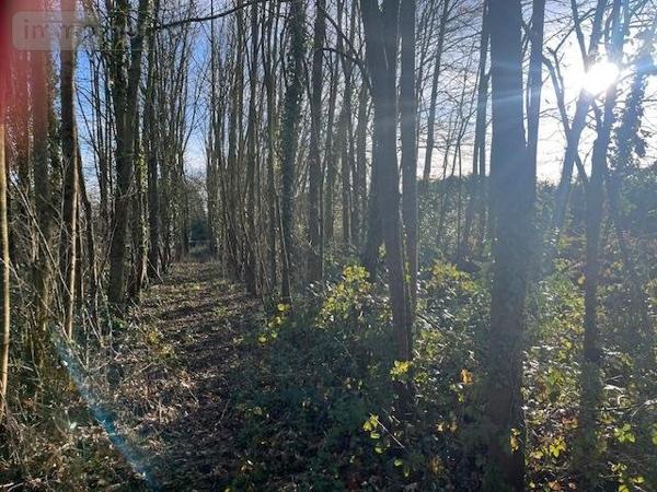 Terrain à Batir à vendre à Caulnes dans les Côtes-d'Armor (22350), ref : 121/1006