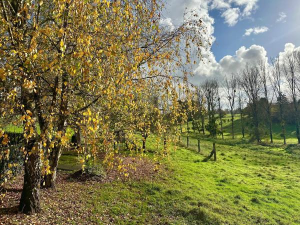 Maison à SAINT-BRICE-EN-COGLES, 35460 - 8 pièces 177m²