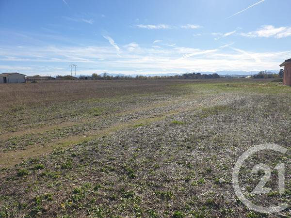 Terrain à vendre  1153 m2 CINTEGABELLE - 31