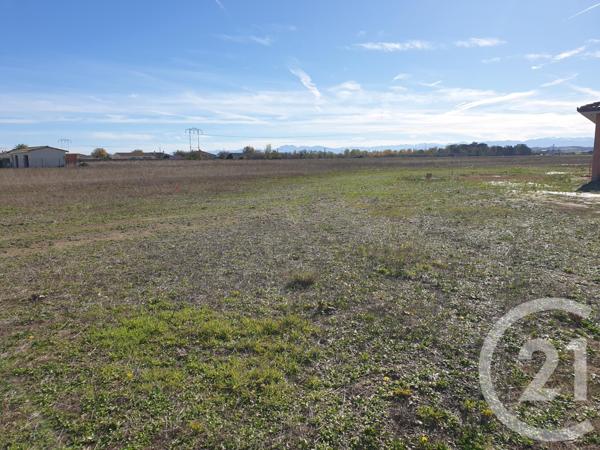 Terrain à vendre  1153 m2 CINTEGABELLE - 31
