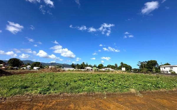 Terrain à vendre    Sainte-Rose