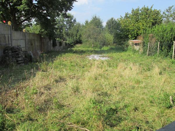Maison à rénover avec jardin et dépendances