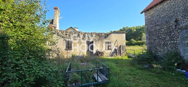Maison Mont 5 pièces 142m2, 7800m² de terrain, 112m² de grange, ruine 80m²