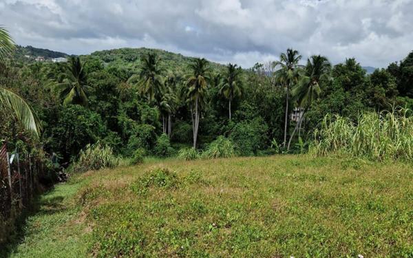 Terrain à vendre    Rivière-Salée