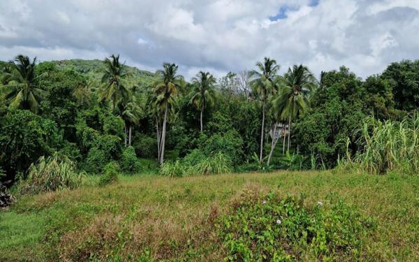 Terrain à vendre    Rivière-Salée