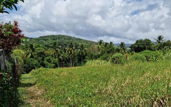 Terrain à vendre    Rivière-Salée