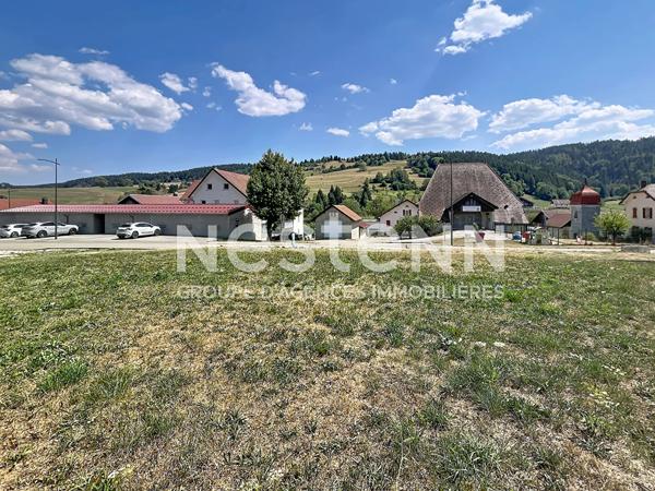 À vendre : Terrain constructible de 482 m² à Pays de Montbenoit - Opportunité rare !