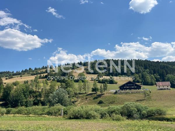 À vendre : Terrain constructible de 482 m² à Pays de Montbenoit - Opportunité rare !