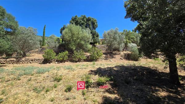 Au coeur du Golf de St Tropez - maison provençale 110m2; avec piscine sur 4400 m2 - 690.000