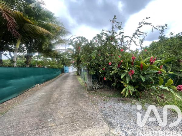 Location appartement 5 pièces 147 m² Baie-Mahault