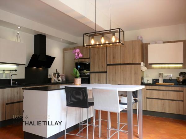 OLIVET bord du Loiret, a vendre, jolie maison de 243 m², jardin paysagé et arboré, parcelle de 1 123,00 m²