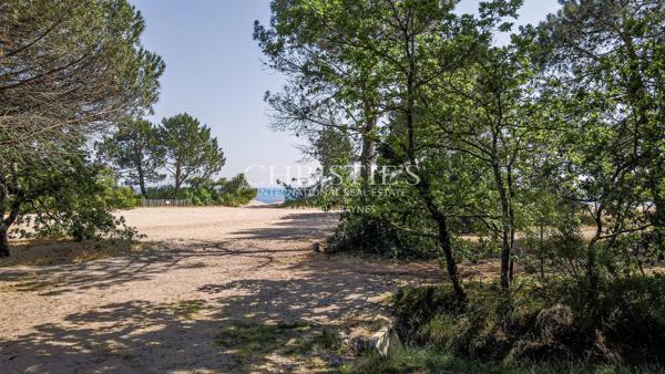1ÈRE LIGNE À ARES : RARE ET VUE AU TRAVERS DES PINS