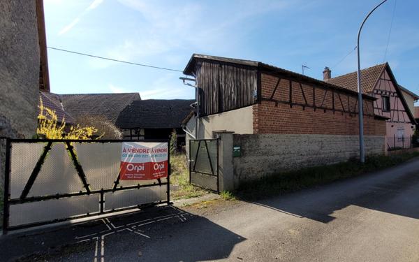 Maison à vendre    4 pièces •  Obersaasheim