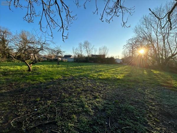 Terrain à Batir à vendre à Gouville-sur-Mer dans la Manche (50560), ref : 4182