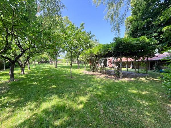 Maison Ecueille 7 pièce(s) 108.5 m2