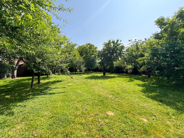 Maison Ecueille 7 pièce(s) 108.5 m2