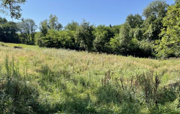 Vente Terrain Avec entrepot Thiers   