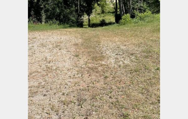 Vente Terrain Avec entrepot Thiers   