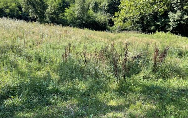 Vente Terrain Avec entrepot Thiers   