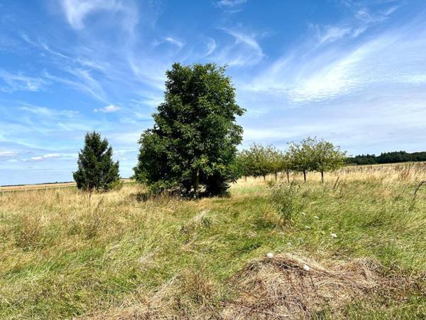 FERMETTE A RENOVER   TERRAIN ENVIRON 6000 m2