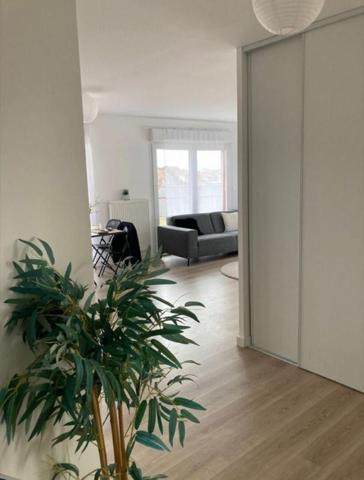 Appartement Tourcoing 3 pièces