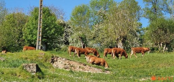 ENSEMBLE DE 3 MAISONS AVEC FORT POTENTIEL LOCATIF