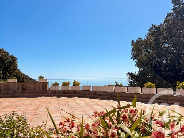 Maison à vendre  12 pièces - 487 m2 SAN MARTINO DI LOTA - 202