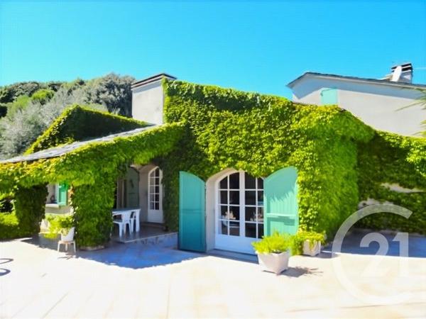 Maison à vendre  12 pièces - 487 m2 SAN MARTINO DI LOTA - 202