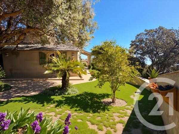 Maison à vendre  12 pièces - 487 m2 SAN MARTINO DI LOTA - 202
