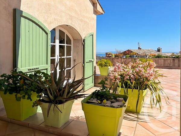 Maison à vendre  12 pièces - 487 m2 SAN MARTINO DI LOTA - 202