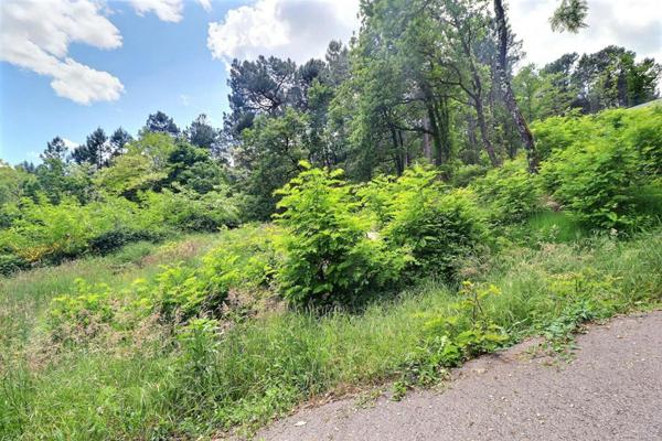 Mercuer terrain à batir 1748 m²