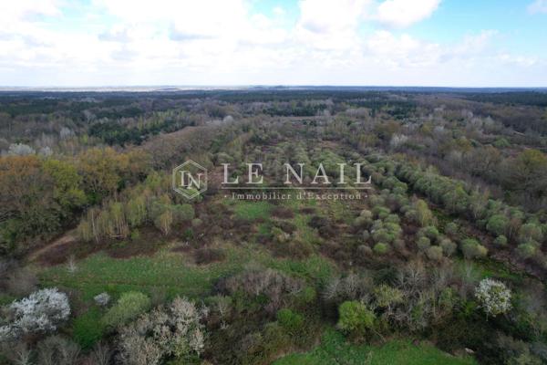 Charmante propriété et son territoire de 35 hectares au coeur de la Sologne
