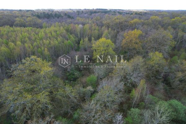 Charmante propriété et son territoire de 35 hectares au coeur de la Sologne