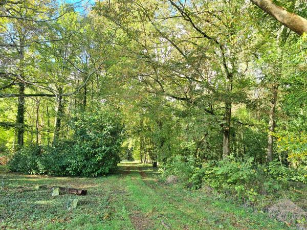 Triangle Vernon - Giverny - Les Andelys - Château du 17ème de 2.246 m2  - 33 chambres - avec dépandances sur plus de 21 hectares de terrain : Prix : 2.100.000