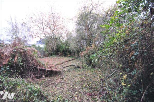 Maison et Hangar à Clohars