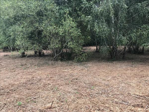 Terrain à vendre |  Lannemezan |  2275 m²