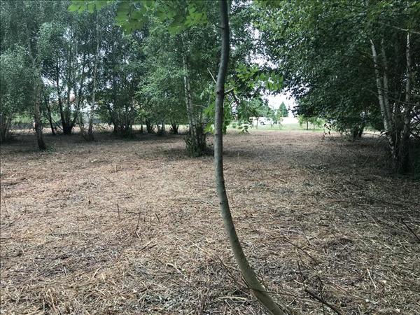 Terrain à vendre |  Lannemezan |  2275 m²